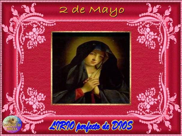 Mes de mayo - HOMENAJE A MARÍA Div>